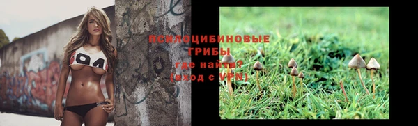 мескалин Каменногорск