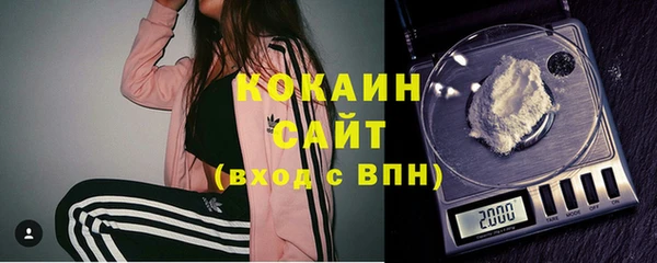крисы Покачи
