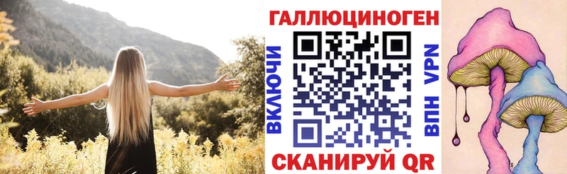 дарнет шоп  Соликамск  Галлюциногенные грибы прущие грибы 