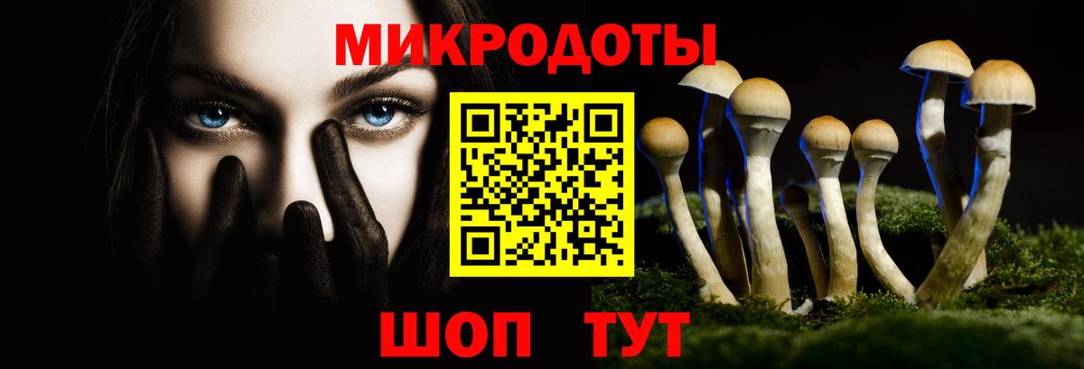 Псилоцибиновые грибы GOLDEN TEACHER  Вход с VPN  Соликамск 
